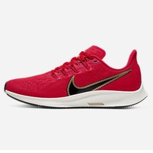 NWB Nike Air Zoom Pegasus 36 Icon Clash